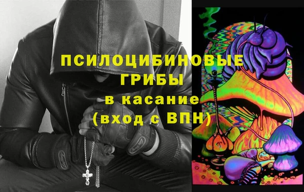 эйфоретик Алзамай