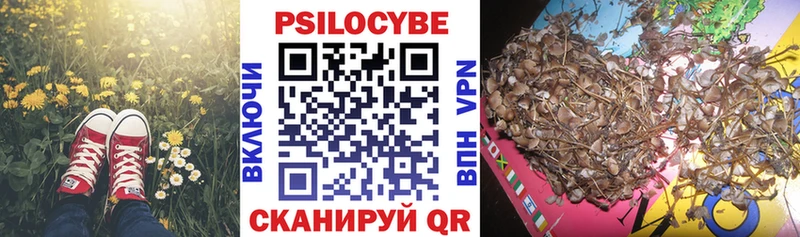 blacksprut ТОР  Геленджик  Галлюциногенные грибы мицелий 