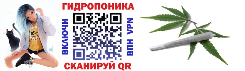 Бошки марихуана марихуана  Геленджик 